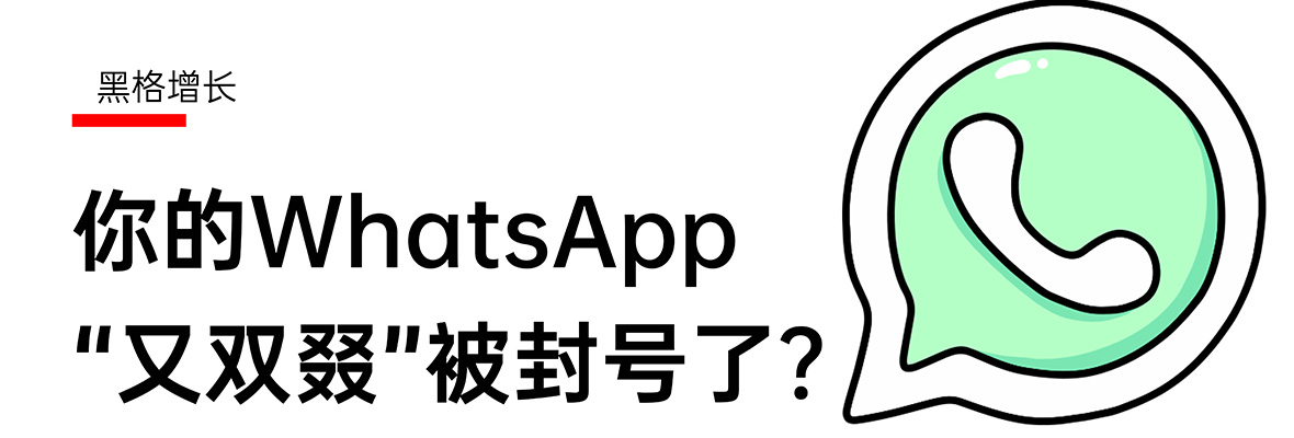 【黑格增长】你的WhatsApp为什么最近老被封号？